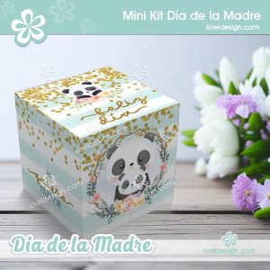 Mini kit pandita dia de la madre
